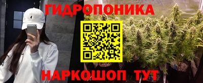 прущие крисы Боровичи