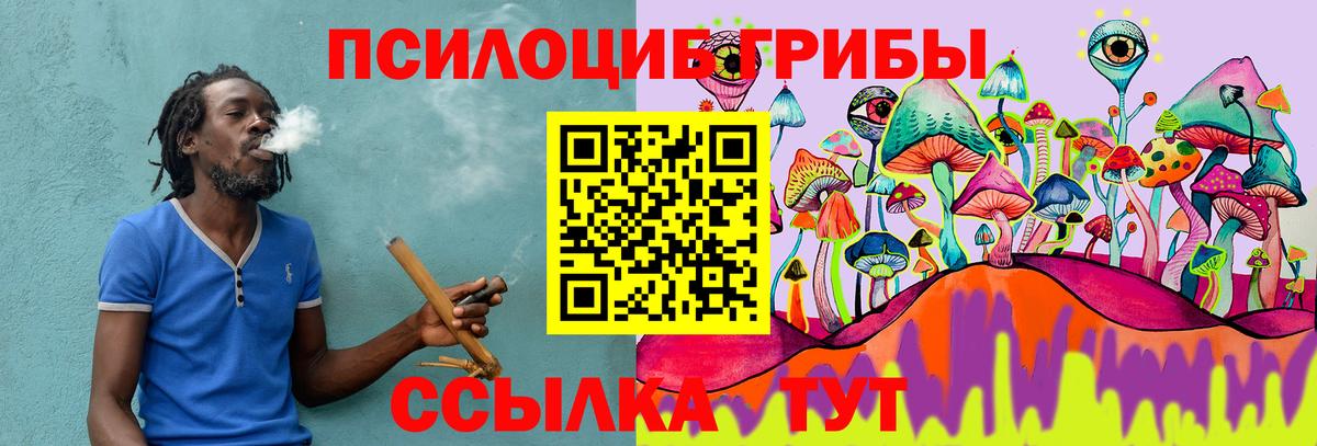 Белгород  Псилоцибиновые грибы Cubensis  Вход с VPN 